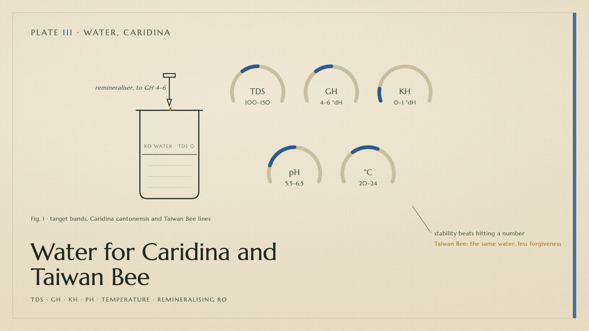 Plate III · Water for Caridina and Taiwan Bee — TDS · GH · KH · pH · temperature · remineralising RO