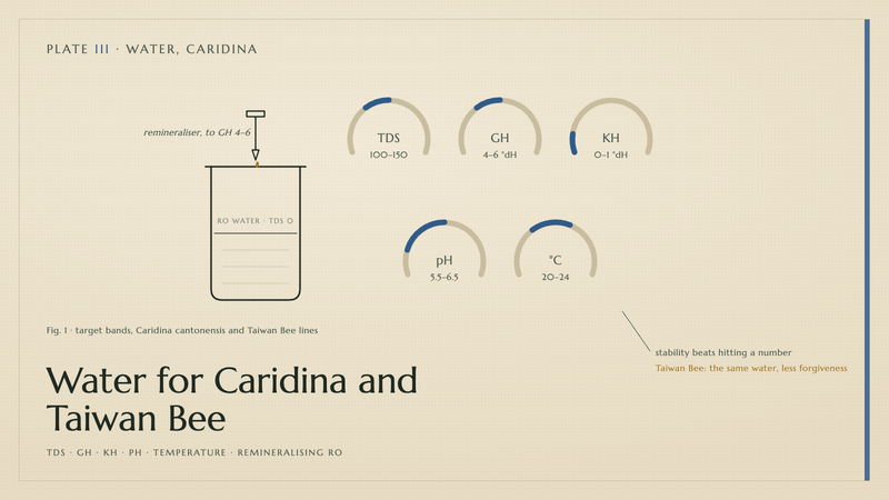 Plate III · Water for Caridina and Taiwan Bee — TDS · GH · KH · pH · temperature · remineralising RO