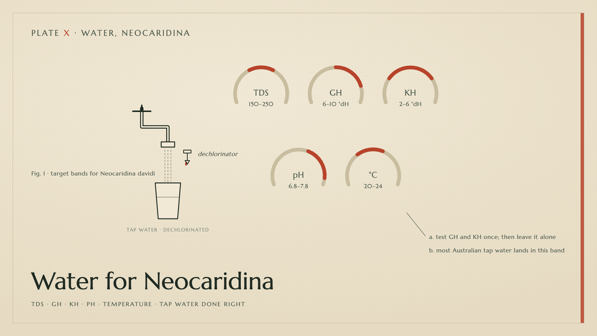 Plate X · Water for Neocaridina — TDS · GH · KH · pH · temperature · tap water done right