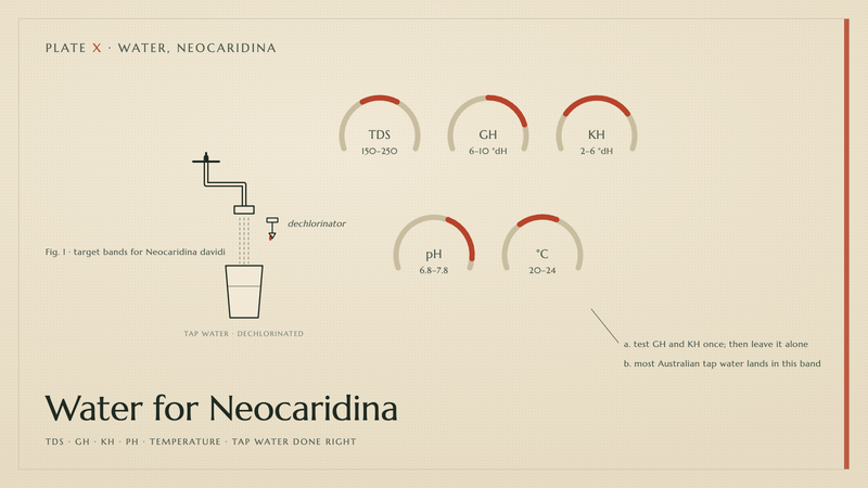 Plate X · Water for Neocaridina — TDS · GH · KH · pH · temperature · tap water done right